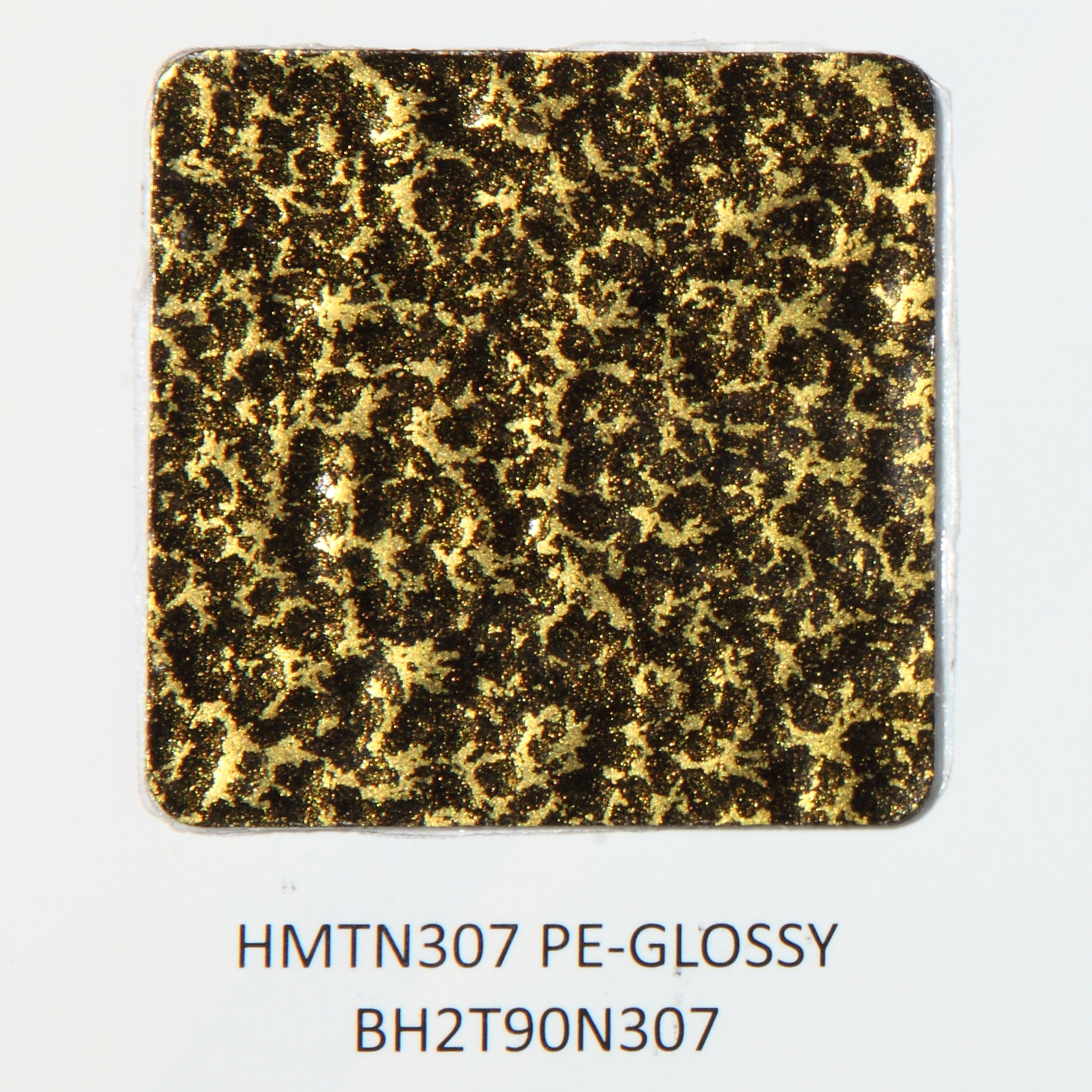 HMTN307 PE GLOSSY BH2T90N307